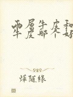 两层牛皮和头层牛皮哪个好