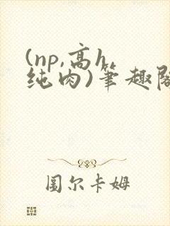 (np,高h,纯肉)笔趣阁