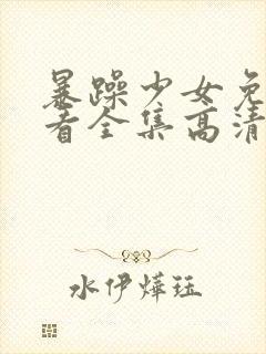 暴躁少女免费观看全集高清版封面