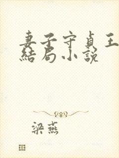 妻子守贞王京贵结局小说