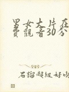 男女大片在线免费观看30分钟