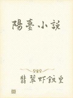 阳台小说