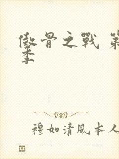 傲骨之战 第2季封面