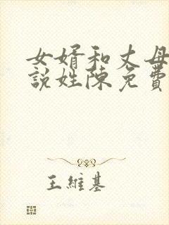 女婿和丈母娘小说姓陈免费阅读