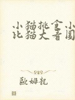 小猫挑食小老鼠比猫大看图写话封面