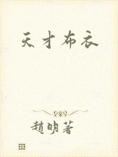 天才布衣封面