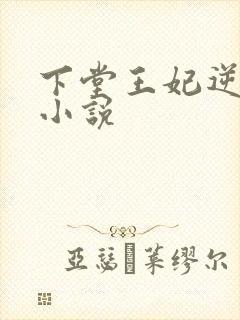 下堂王妃逆袭记小说封面