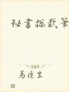 秘书总裁笔趣阁
