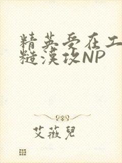 精英受在工地被糙汉攻NP