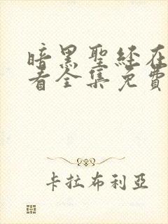 暗黑圣经在线观看全集免费播放高清