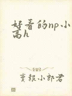 好看的np小说高h
