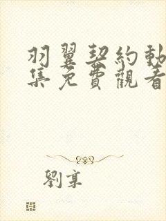 羽翼契约动漫全集免费观看第19集封面