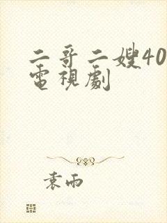 二哥二嫂40集电视剧封面