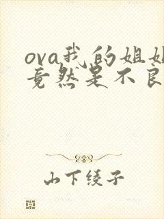 ova我的姐姐竟然是不良少女无删减封面