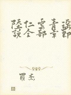 陆仁云青瑶的小说全部章节封面