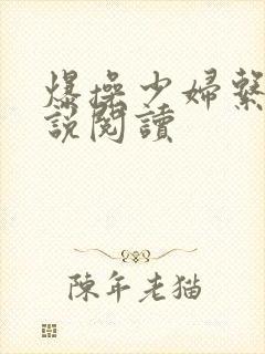 爆操少妇系列小说阅读封面