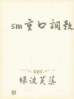 sm重口调教文