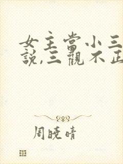 女主当小三的小说,三观不正