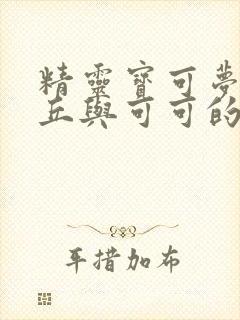 精灵宝可梦皮卡丘与可可的冒险封面