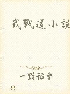 武战道小说