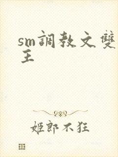 sm调教文双男主