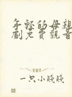 年轻的母亲电视剧免费观看全集在线封面