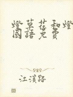 灯草花和灯高清国语免费