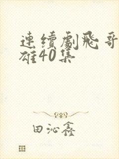 连续剧飞哥大英雄40集封面