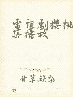 电视剧樱桃红全集播放封面