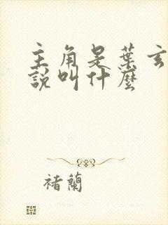 主角是叶玄的小说叫什么