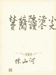 林婉陈浩小说免费阅读全文最新章节