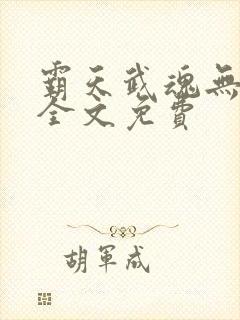 霸天武魂无弹窗全文免费