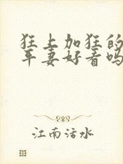 狂上加狂的侯府平妻好看吗封面