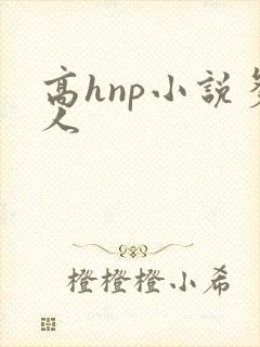 高hnp小说多人