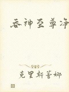 吞神至尊净无痕