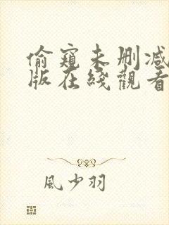 偷窥未删减完整版在线观看