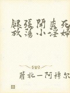 腿张开爽死你个放荡小淫妇h文