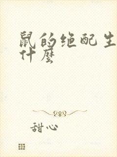 鼠的绝配生肖是什么