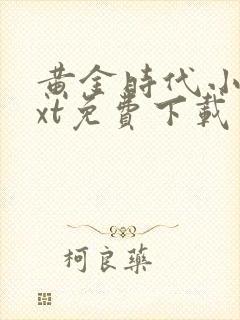 黄金时代小说txt免费下载