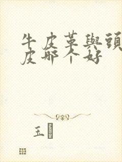 牛皮革与头层牛皮哪个好