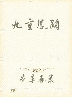 九重凤阙封面