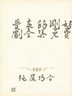 爱来的刚好电视剧全集免费观看