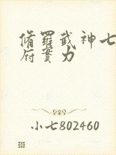 修罗武神七届圣府实力