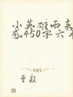 小英雄雨来读后感450字六年级封面