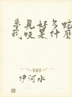 梦见好多蛇追着我咬是什么预兆