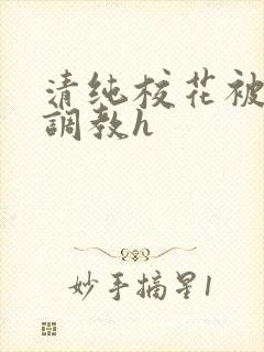 清纯校花被地狱调教h封面