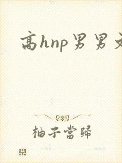 高hnp男男文