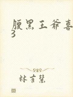 腹黑王爷喜当爹3