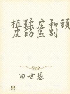 植鞣皮和头层牛皮的区别