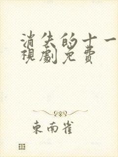 消失的十一层电视剧免费